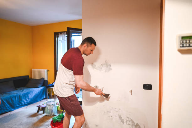 Office Mold Removal Services in Rock Valley, IA